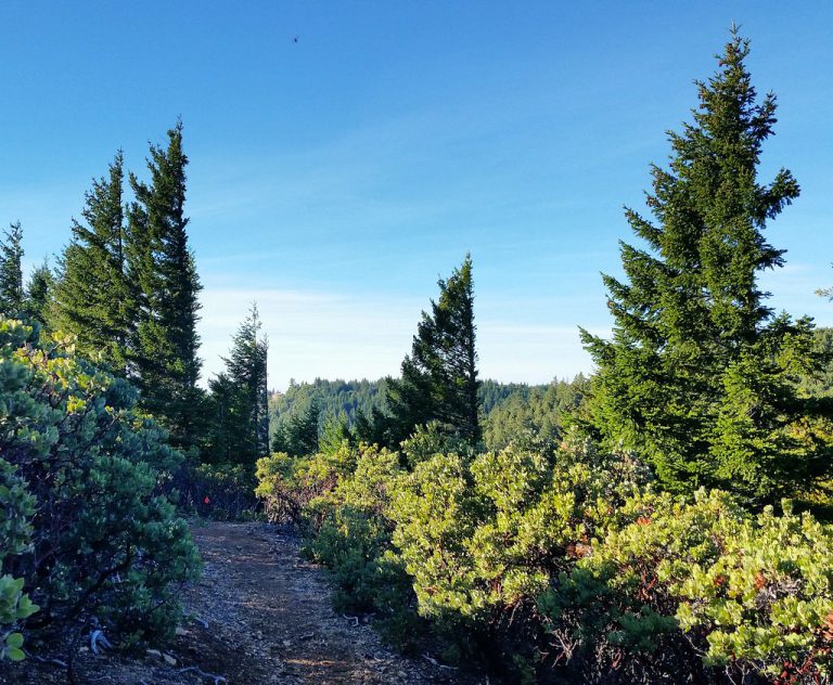 Observer la nature : la méthode Decroly au fil des saisons